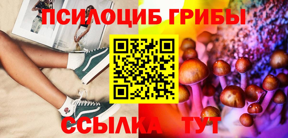 Псилоцибиновые грибы Psilocybe Осинники